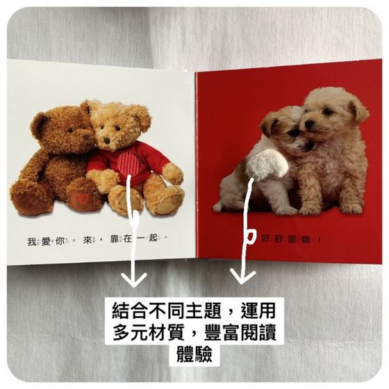 DK寶寶觸覺認知書系列（全套8冊）